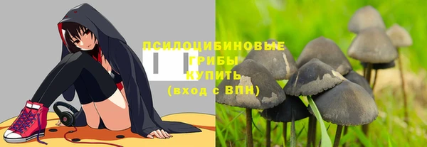 меф Богородицк