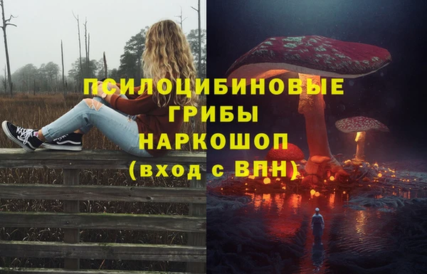 первитин Богородск
